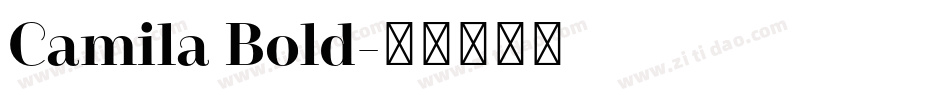 Camila Bold字体转换